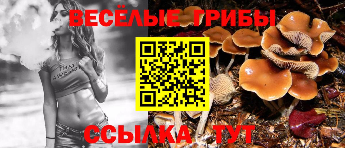 Галлюциногенные грибы ЛСД  Вход с VPN  где продают   Псилоцибиновые грибы ЛСД  Чапаевск 